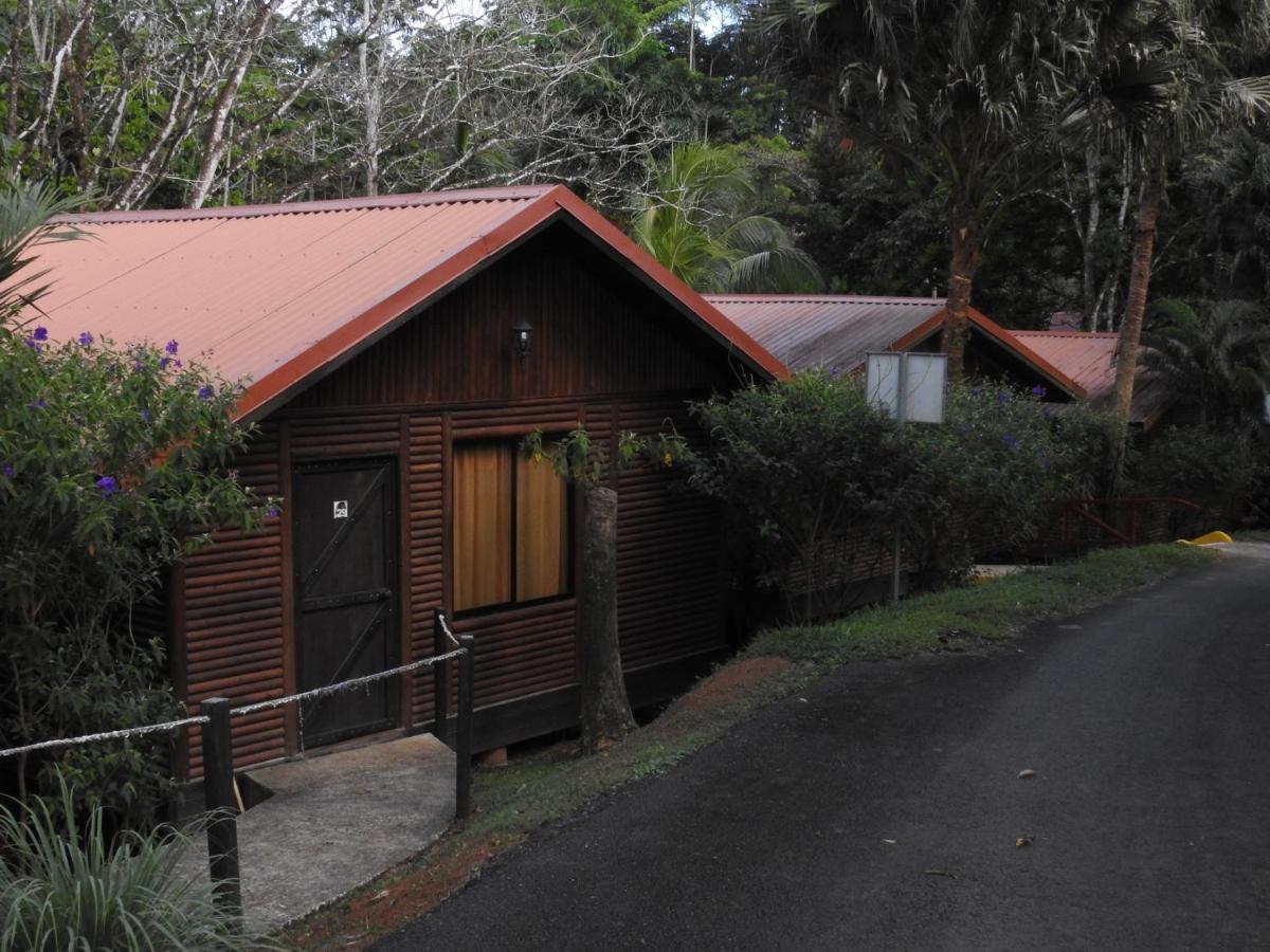 Hotel Pedacito De Cielo Boca Tapada Bagian luar foto
