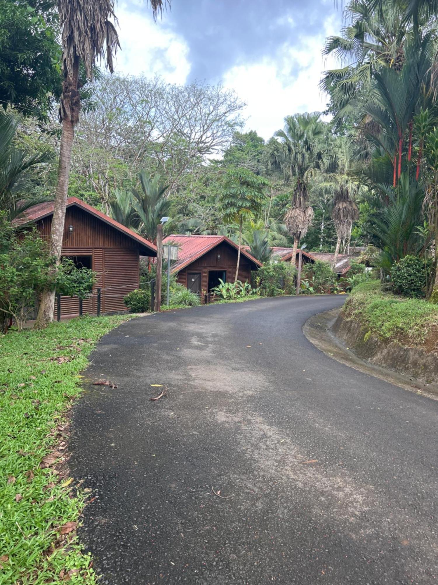 Hotel Pedacito De Cielo Boca Tapada Bagian luar foto