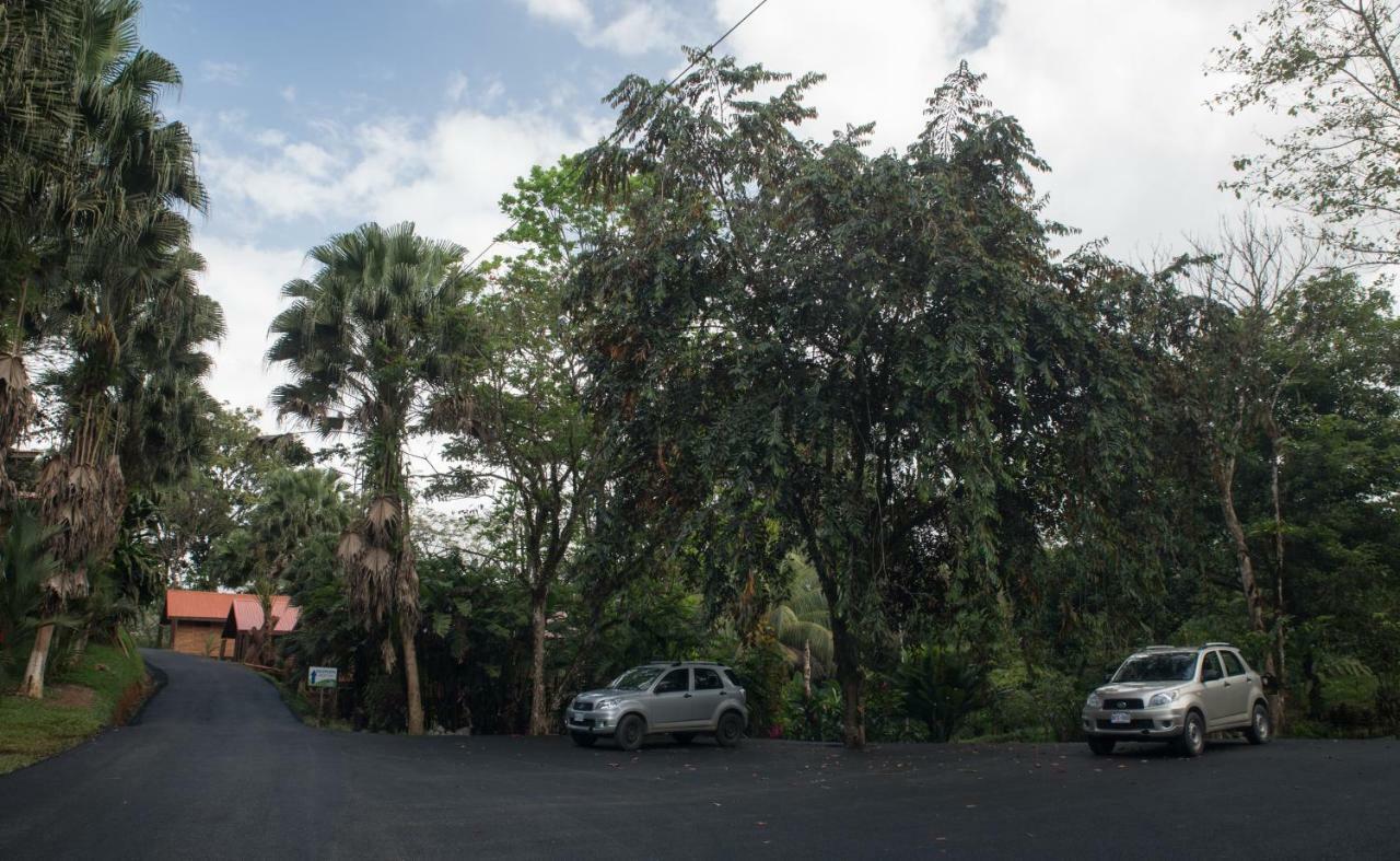 Hotel Pedacito De Cielo Boca Tapada Bagian luar foto